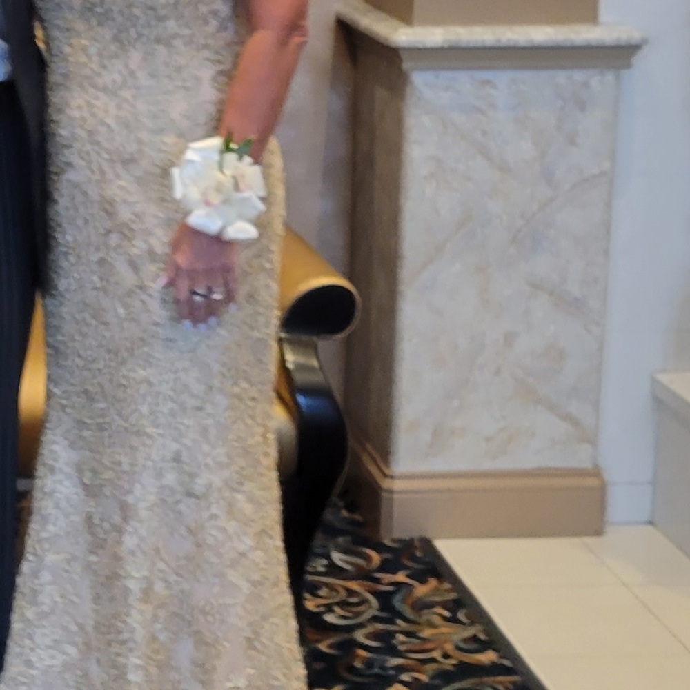 Gold Lace Maxi Evening Dress - Elegant V-Neck - Picture 2 of 12